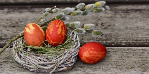 Ostereier auf Nest mit Weidenzweigen