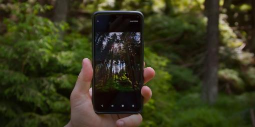 Smartphone im Wald