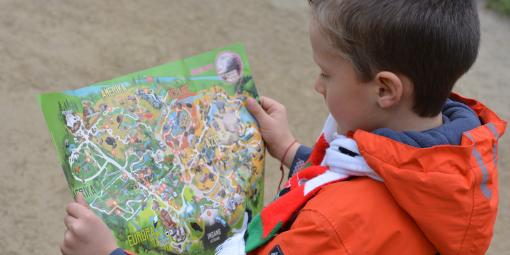 Junge liest Karte eines Parks.