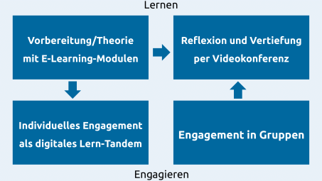 Infografik: Inhalte des Service-Learning-Moduls