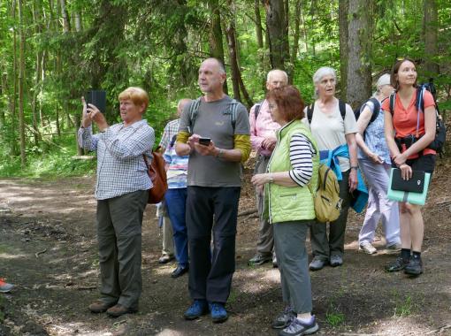 Eine Gruppe Wanderinnen und Wanderer läuft durch einen Wald