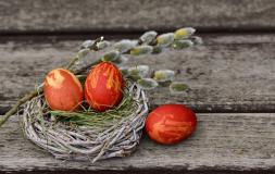 Ostereier auf Nest mit Weidenzweigen