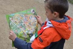 Junge liest Karte eines Parks. 