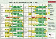 Zweite Seite der Einkaufshilfe zu heimischen Gemüse: Tabellarischer Saisonkalender mit Symbolen zur Verfügbarkeit