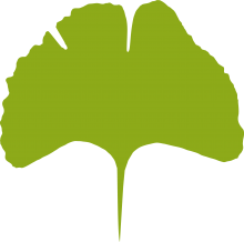 Logo des Seniorenbüros Jena: Ginko_Blatt