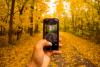 Herbstlicher Waldweg, eine Hand hält ein Smartphone