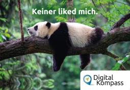 Ein Panda, liegend auf einem Ast mit dem Text: "Keiner liked mich."