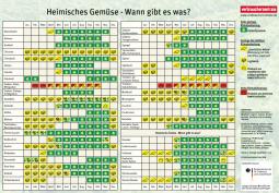 Zweite Seite der Einkaufshilfe zu heimischen Gemüse: Tabellarischer Saisonkalender mit Symbolen zur Verfügbarkeit